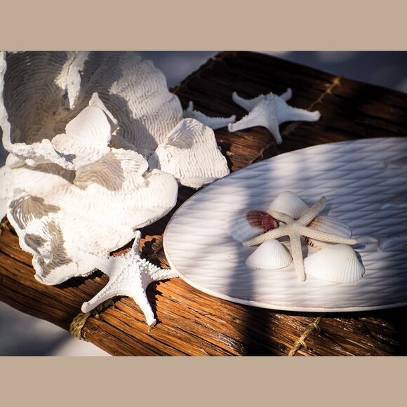 Starfish decor Set of 2 - Picture 4 of 16